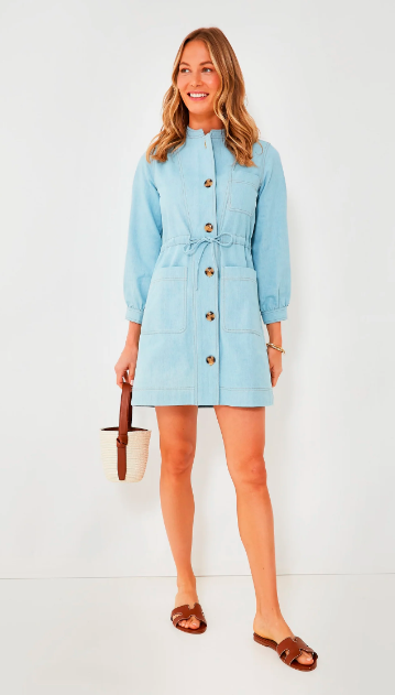 Best Chambray Crosby Dress in 2024